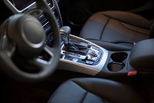 春季潮濕車(chē)飾起霉 瓜子二手車(chē)教你如何防潮除霉